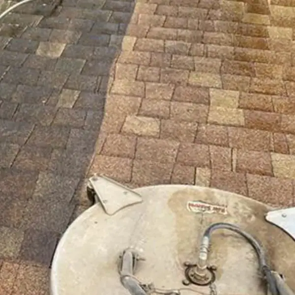 Soft-wash roof cleaning